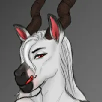 Luci